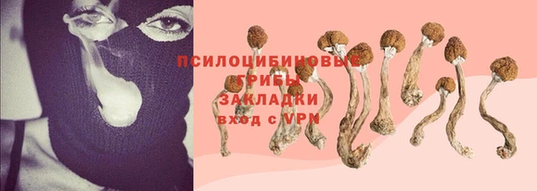 эйфоретик Лабытнанги