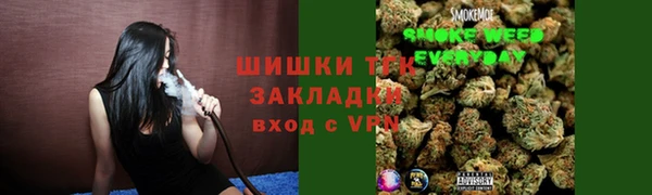 ПСИЛОЦИБИНОВЫЕ ГРИБЫ Ладушкин